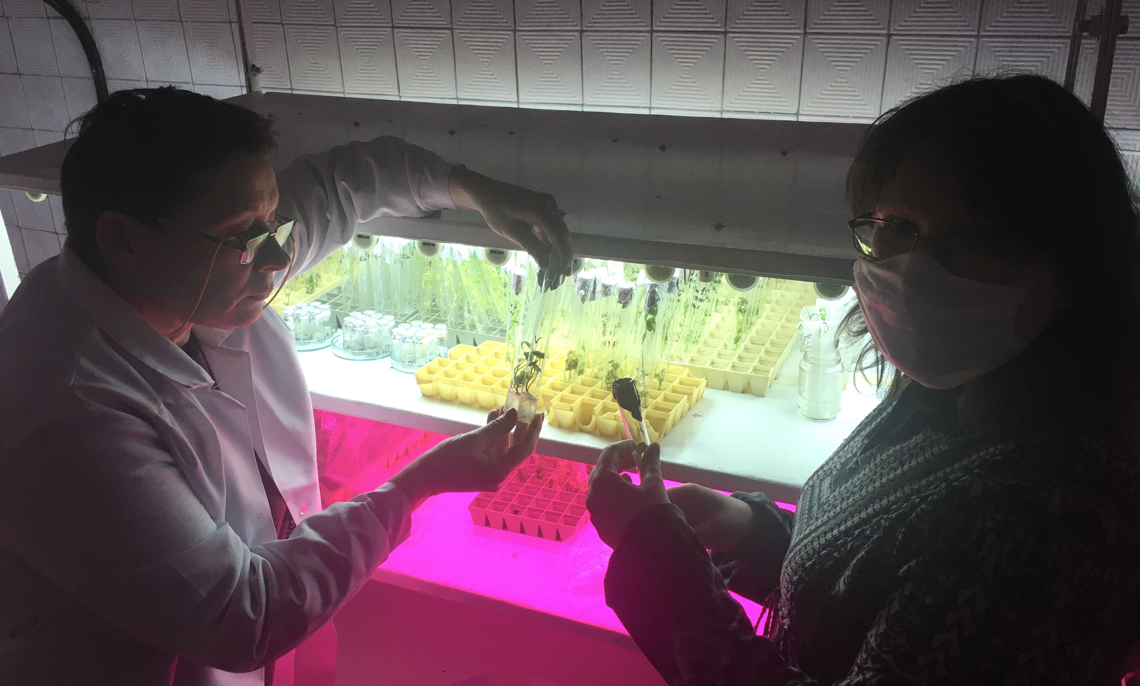 ���������� �������� ��������� ���� ������ ������������������ ������� ������ ��� ��������� ����� ����������� ��������  ���������� � 2020 �. �� ���������� �������� ������������ 