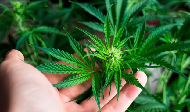 � ������ �� ��� ��������� ���� ������ ��������� ������ ������ ��������� ��������