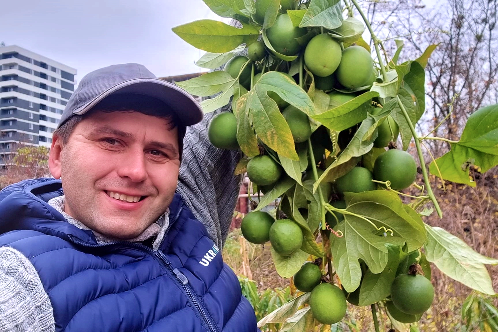 Науковець НААН показав урожай маракуї у Харкові