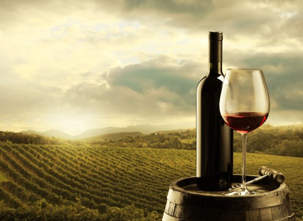 Запрошуємо на Міжнародні  Таїровські читання "Агробіологічні, енологічні та географічні аспекти формування якості вина»