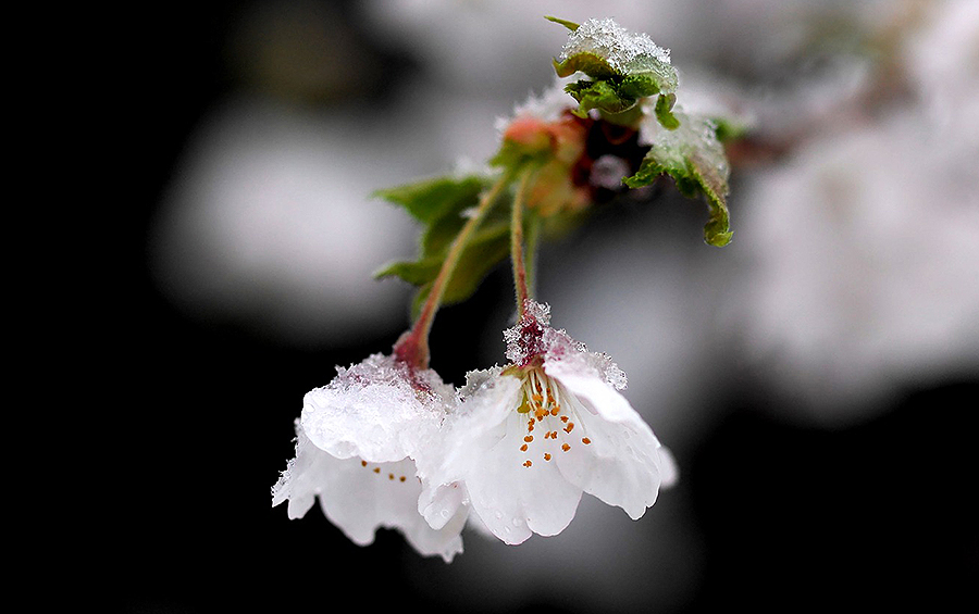 ��� ����������������� ����� �� ���� ����� �������������������� ������� � ������ �� 17 ����� 2020 ���� � ��������� ������