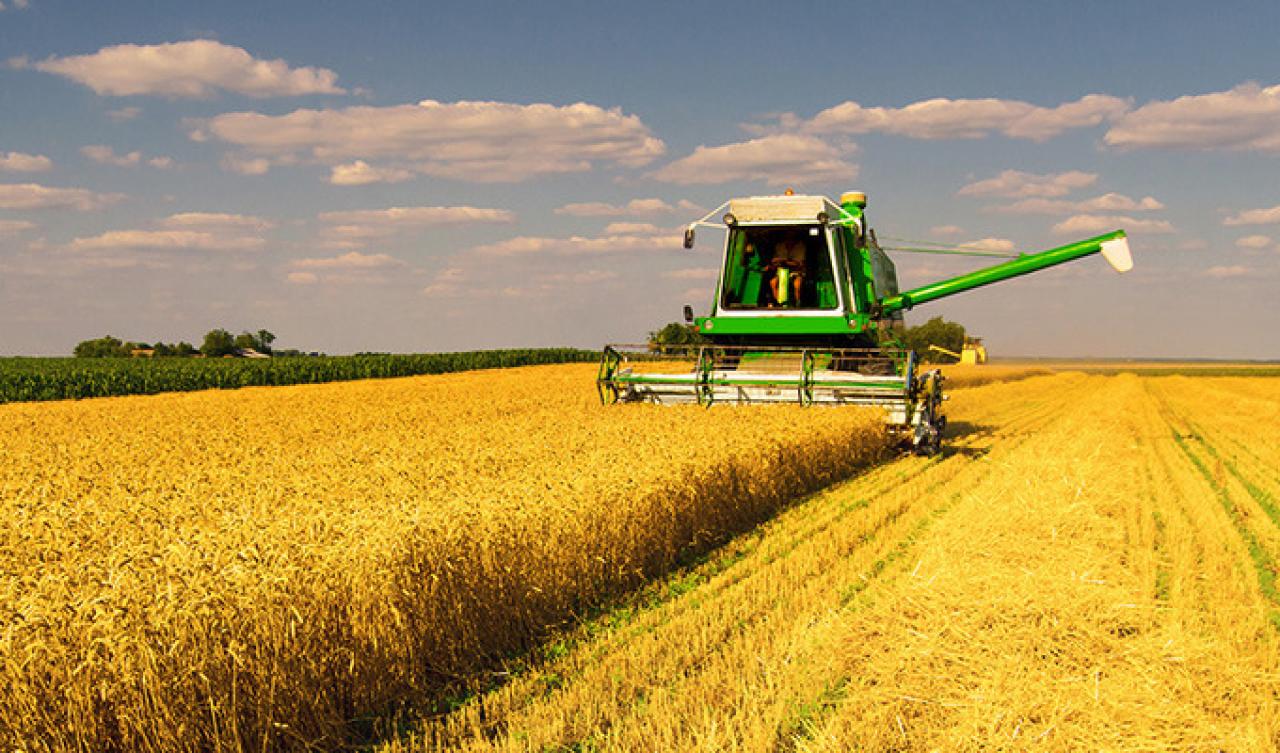 Мінагрополітики: жнива зернових та зернобобових культур 2021