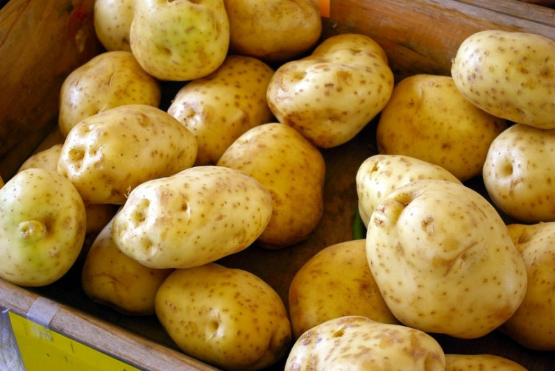 В Україні почала знижуватись ціна картоплі