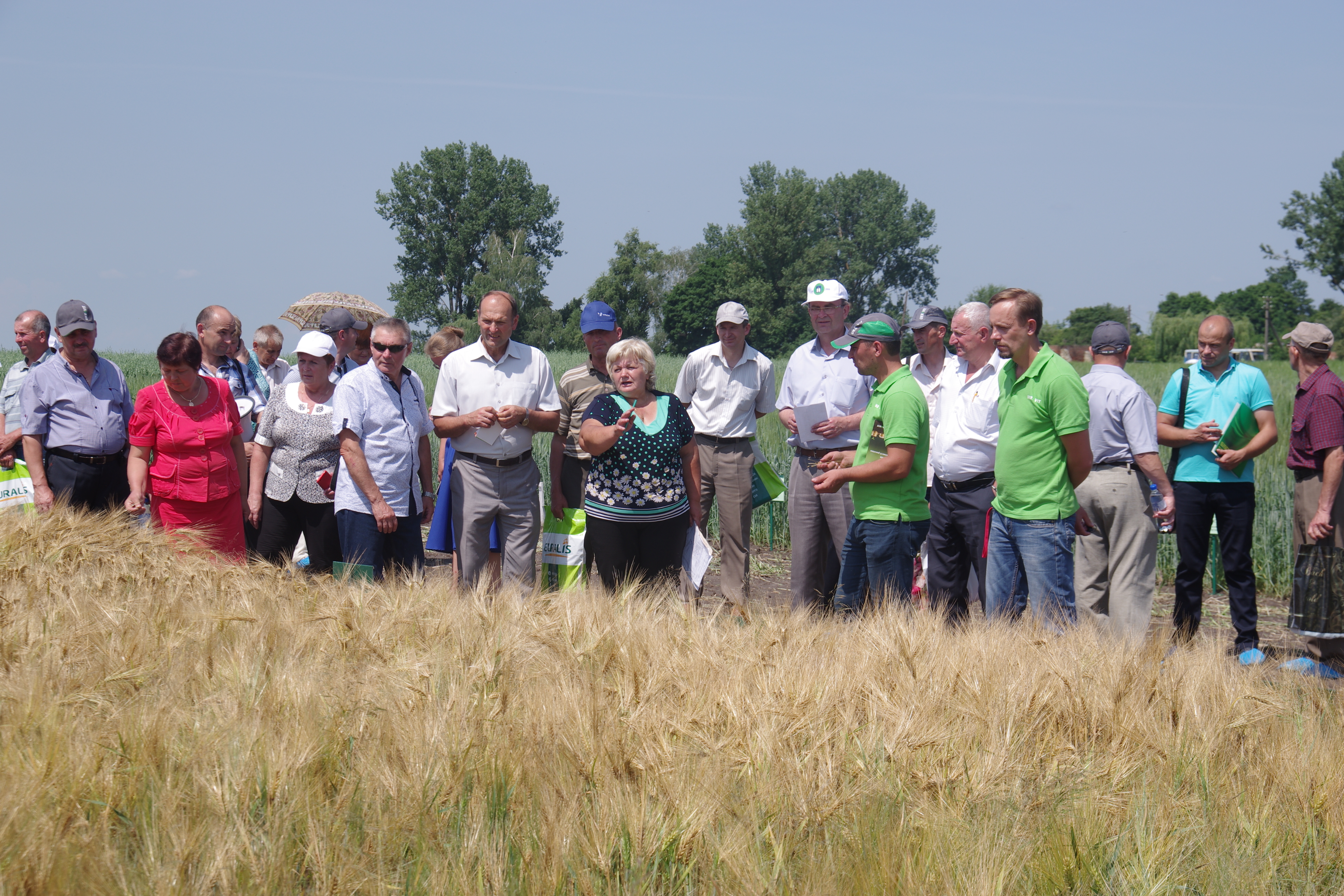 ���� ���� -  2018 �� ��� ��������� ��������� ������������ ��������� ������ ����