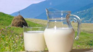 Швейцарія допоможе Україні покращити контроль безпечності молока