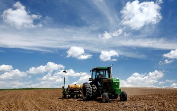 Аграрії засіяли ярими зерновими 96% прогнозованих площ