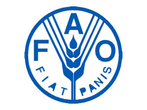 28 жовтня та 3 листопада – Школа фермера ФАО: Створення полезахисних лісових смуг