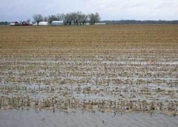 �������������� ������ ������ ������� ����� ������ - �������� ���� ��� ��������� ��������� ���� � ����