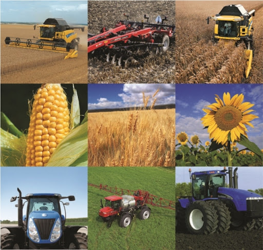 У 2021 році сільське господарство України відновить зростаючу динаміку – Інститут аграрної економіки