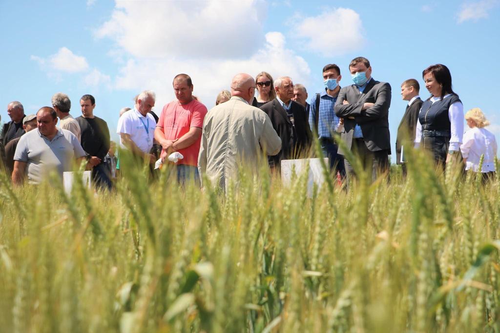 Міжнародний день поля «Інновації у сільському господарстві півдня України» став відкритим майданчиком для спілкування науковців і агровиробників