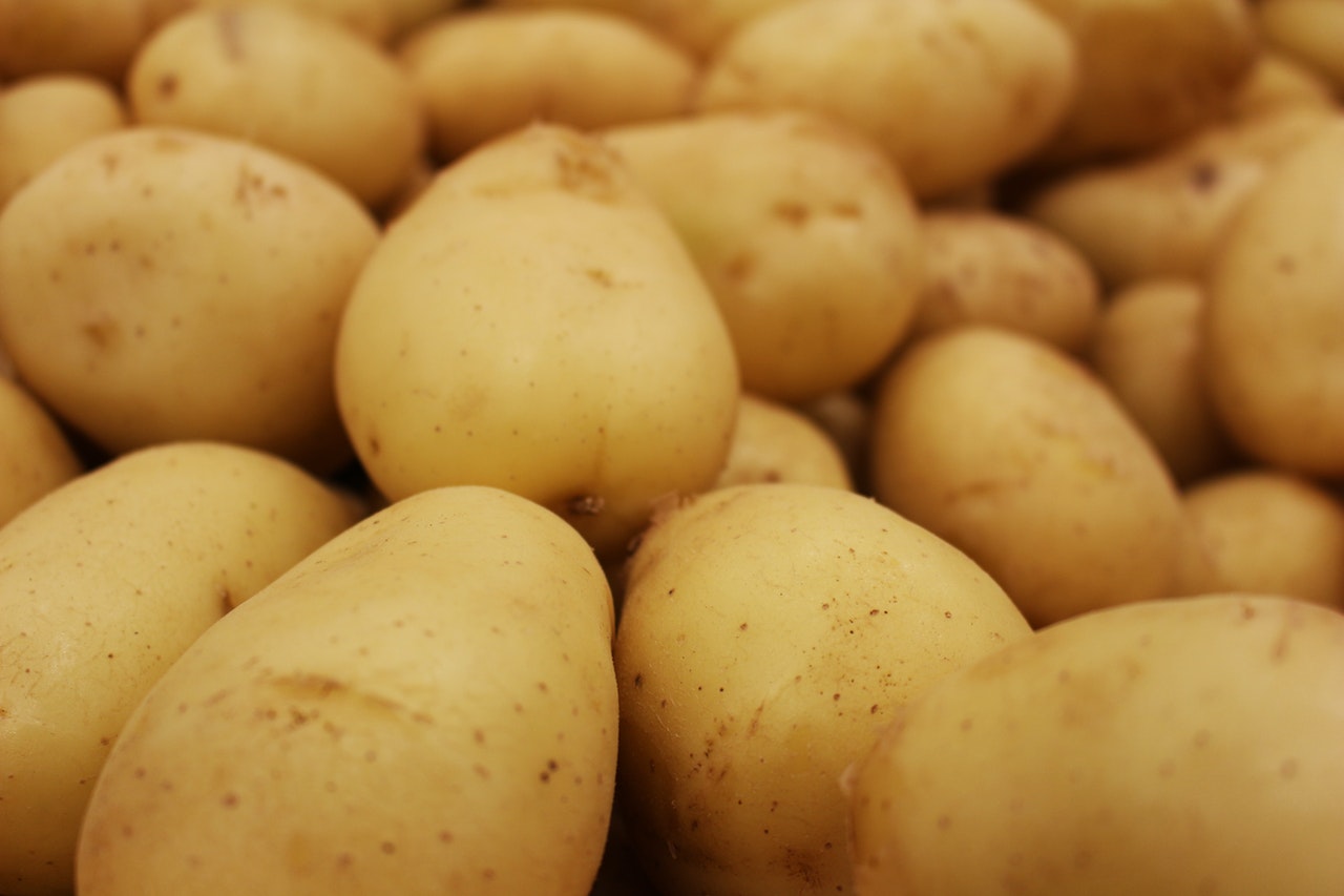 Насіннєву картоплю з Чернігівщини безкоштовно розсилатимуть по всій Україні