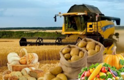 В Україні планують вперше провести сільськогосподарський перепис