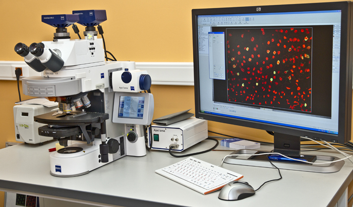 ��� ���������� �������� �ѳ������������������ ����������� ��������� 5 �������� �������, � ����