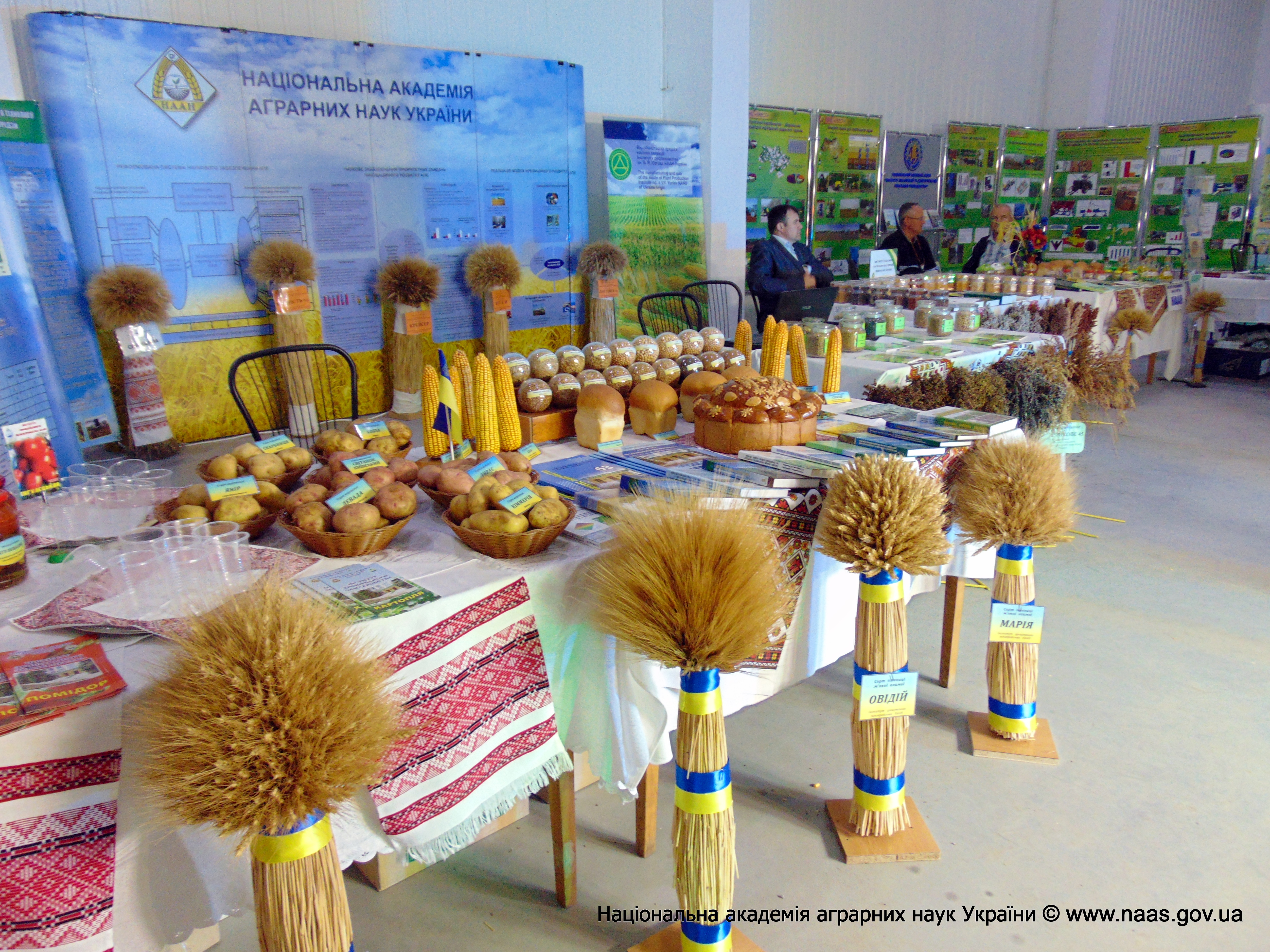 Національна агропромислова виставка «АгроЕкспо» на Кіровоградщині