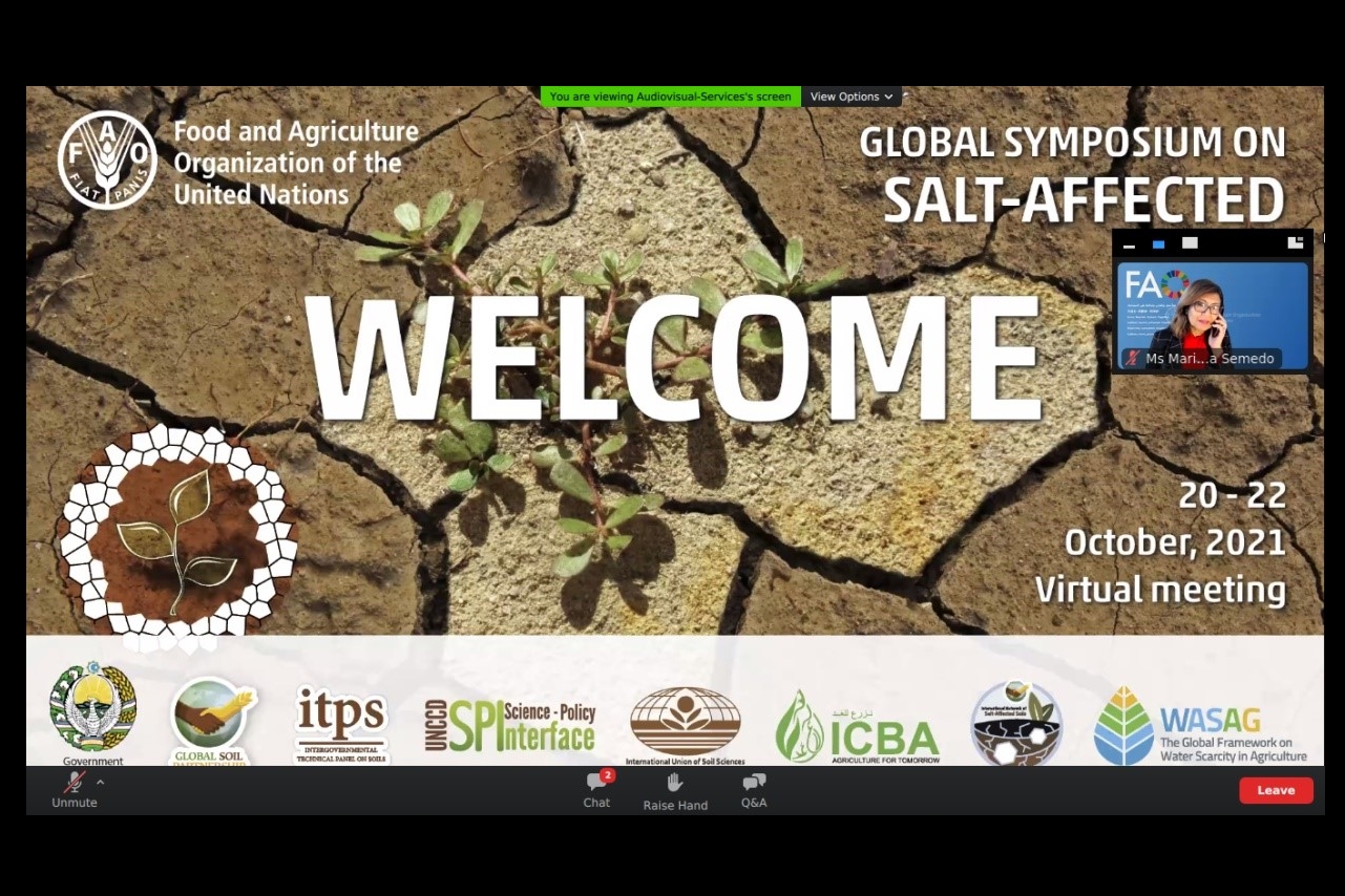 Працівники Інституту ґрунтознавства та агрохімії взяли участь у глобальному симпозіумі з засолених ґрунтів