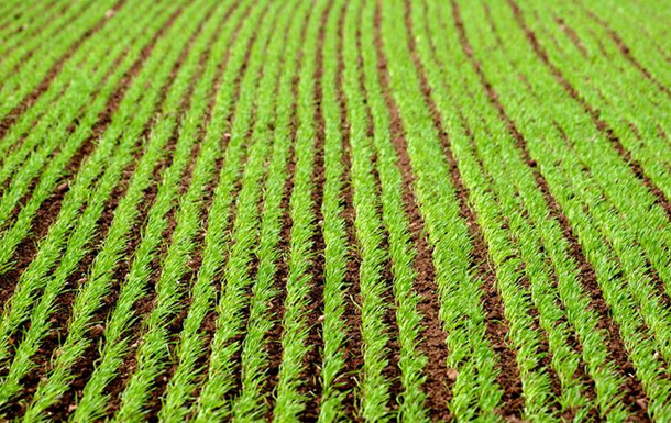 � ������ ������ �������� ������� ��������� ����������� �������� ���������� �� 1,5�2 ������ �������� �� ��������� ������������ ��������