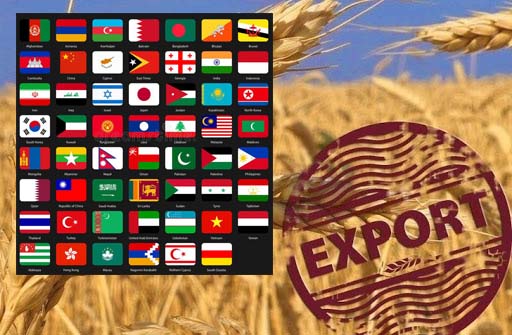 COVID-19: Характерною рисою І півріччя 2020 року стало збільшення обсягів експорту українських продуктів харчування лише до країн Азії – Інститут аграрної економіки