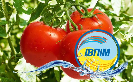 ІВПіМ НААН запрошує на навчальний курс «Вирощування органічних культур у сівозміні з фокусом на томати технічні»