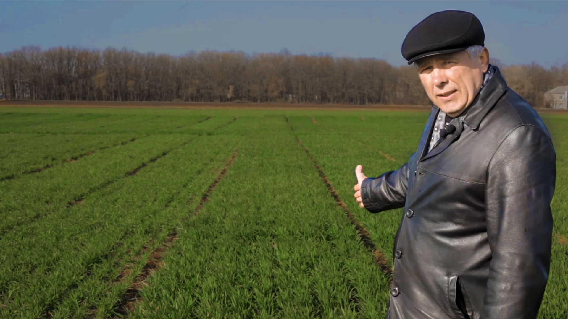 Дотримання агротехнологічних умов дозволить отримувати максимальні урожаї – переконані в Інституті зернових культур НААН України