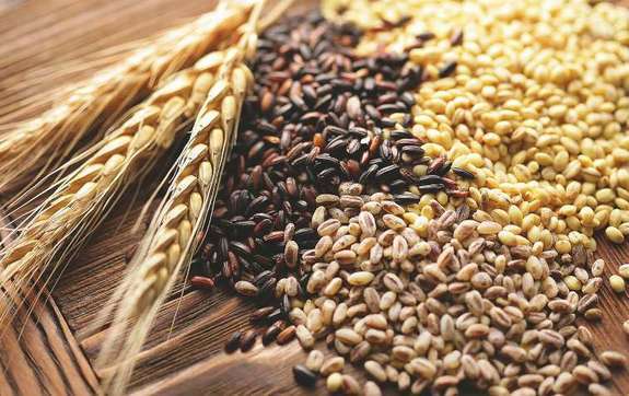 Виробництво пшениці буде більшим, ніж у 2018 році – прогноз науковців Інституту аграрної економіки НААН України