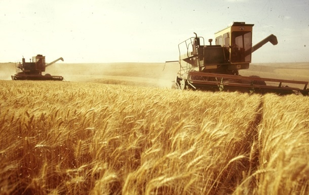 2019 року збільшиться валове виробництво пшениці, проса, гороху та ріпаку – Інститут аграрної економіки