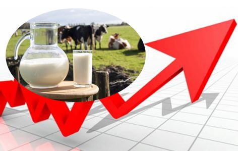 Закупівельні ціни на молоко в Україні продовжують впевнено зростати 