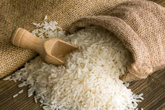 Інститут рису НААН України вперше відправив до Казахстану партію з сорока тонн рисового насіння