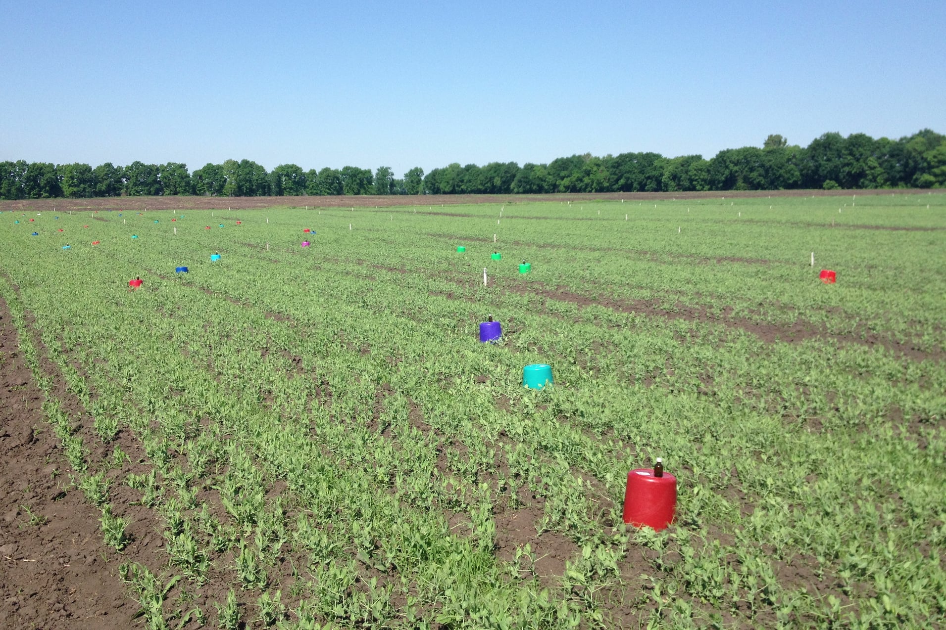 �������� ��������� ������������������� ��������㳿 �� ��� ���� ������ ��������� ������� ����������� ���������� �������� ������