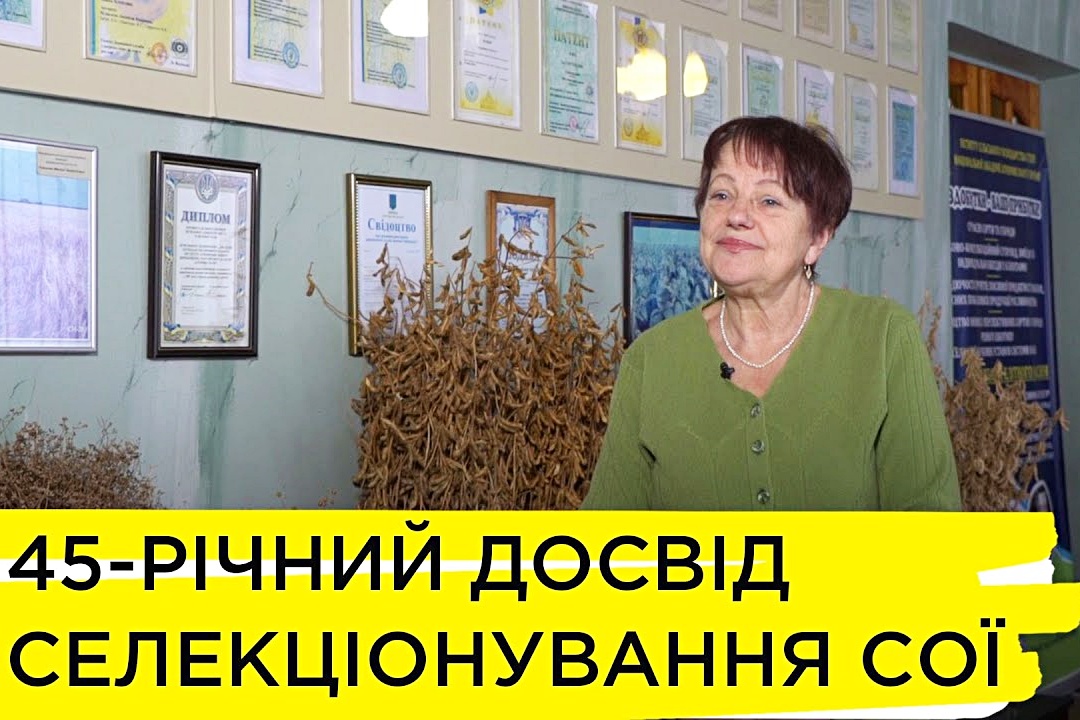 ������������� ���� ������ ��� ������� ����� ��