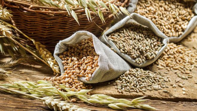 Уточнений прогноз: 2018 року виробництво зернових і зернобобових культур збільшиться на 13,4% за рахунок кукурудзи – Інститут аграрної економіки