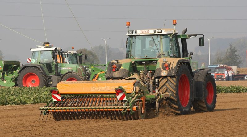 � 2019 ���� ������� ����������� � ������ ��������� �� ����� �� 10,0 % � ��������� ��������