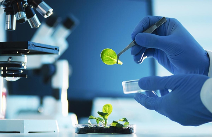 ������²��� �� ���� �� ������Ͳ���