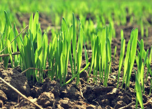 ����: � ������ �������������� ��������� ������������� ����� ��� ��������� �������