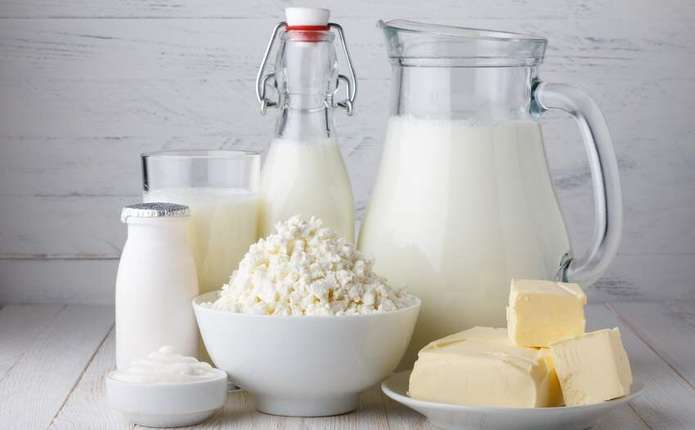 Наукове обґрунтування та практична реалізація заходів щодо виробництва високоякісної молочної продукції