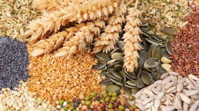 Міністр агрополітики підписав Меморандум з учасниками зернового ринку