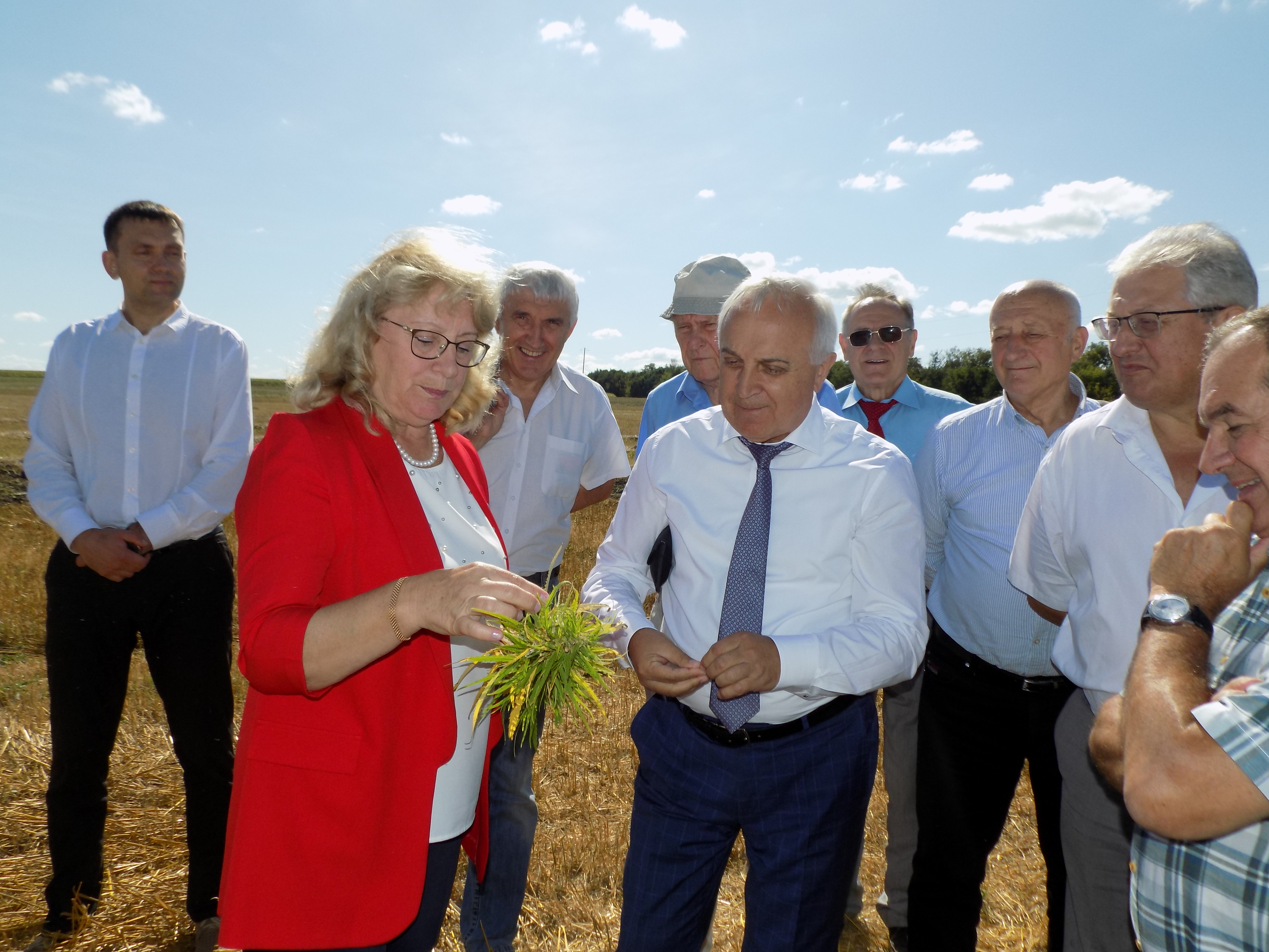 ��� �������� �����䳿  ����