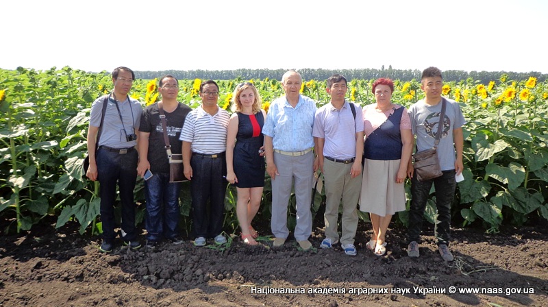 ̳�������� �������-��������� ����������� ����� � ����������� �������� �������� �� ���������� ��������� � ������ ���� ������