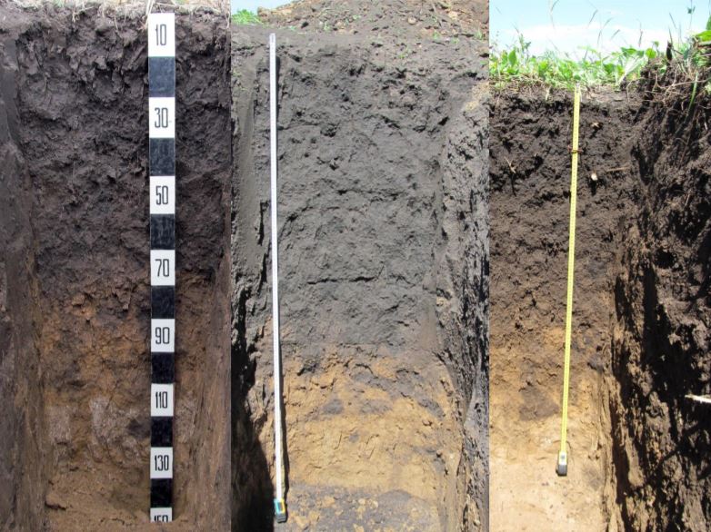 �������-���������� ������ ���� ����������� ������������ ������ ������ �� WRB 2014