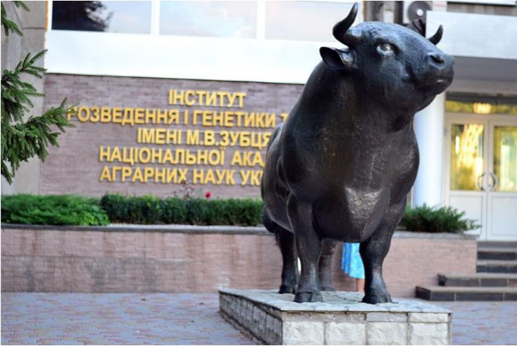 ��������� ��  �����������  ������ � �������� ������������� ���������� ������� �������������������� �������