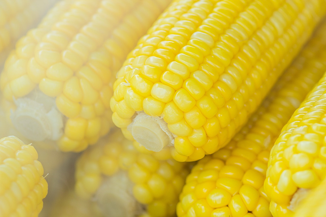 Україна випереджає Росію за показником врожайності кукурудзи