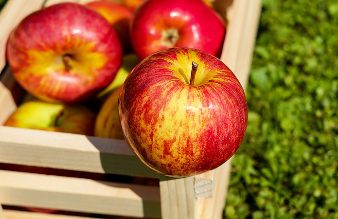 В Україні з'являться нові сорти яблунь, імунні до парші й стійкі до борошнистої роси - НААН