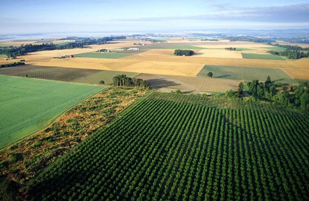 НААН: Контурно-ландшафтна організація землекористування здатна підвищити врожайність до 30%