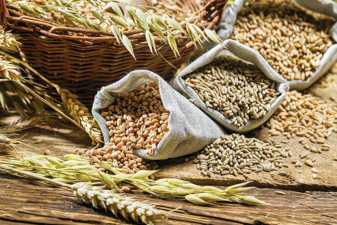 У І півріччі 2018 року Україна експортувала зернових на 11% менше показників минулого року – Інститут аграрної економіки