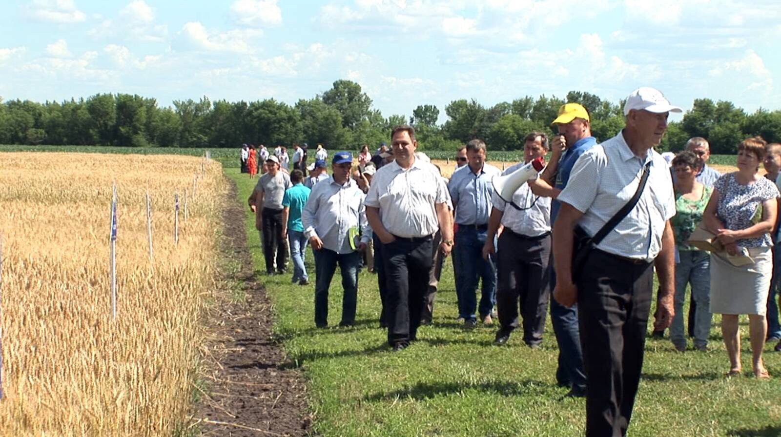 Всеукраїнський  День поля  2020  переконує: у співпраці з аграрною наукою можна досягти гарних результатів у сільськогосподарській діяльності попри всі кліматичні катаклізми