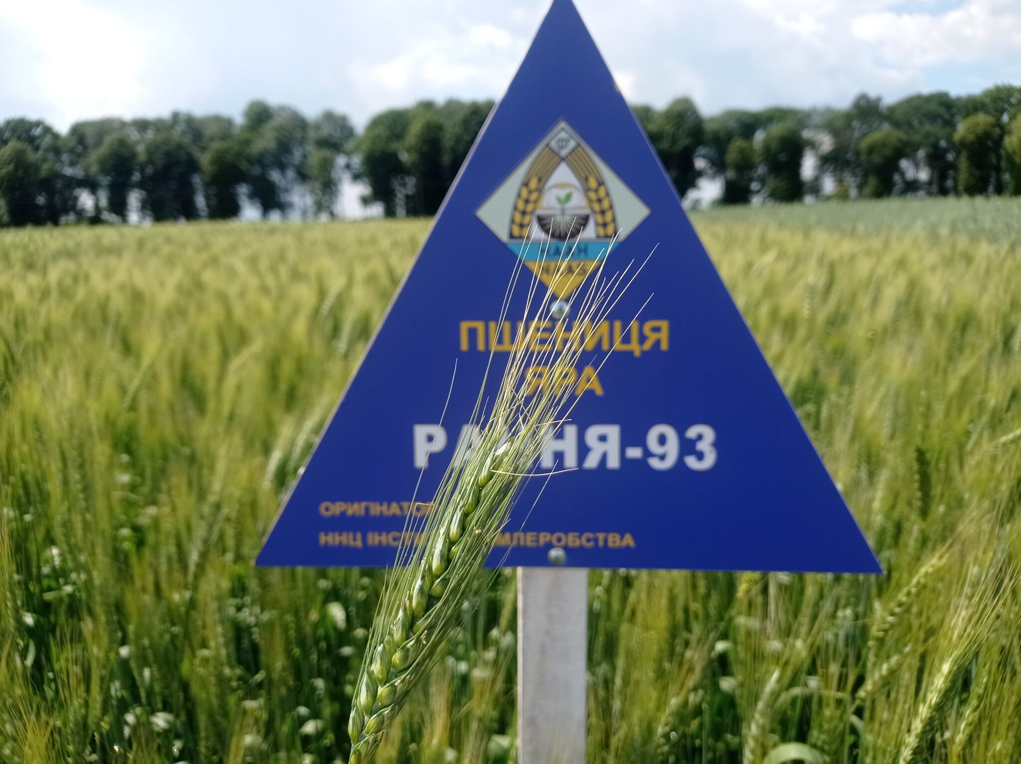 �̳��� ������, ����� ���������� ����� ������������ ����� � ������� �������� �������, - ��������� ��� ���� ������� �������� ���������� ������� �������� ����� ������� �� ������ �������� ����