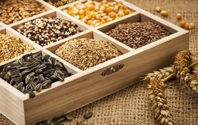 Імпорт насіння в Україну у 2017 році перевищив експорт вітчизняного насіннєвого матеріалу у 26 разів – Інститут аграрної економіки   