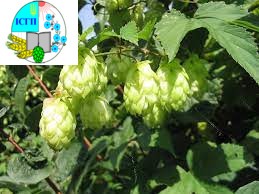 �� ������ ��������� ��������� ��������� ������������ ������ ���������� �� �������� � ����������� ����� ����������� ���� ���� ������������ �������� Gold