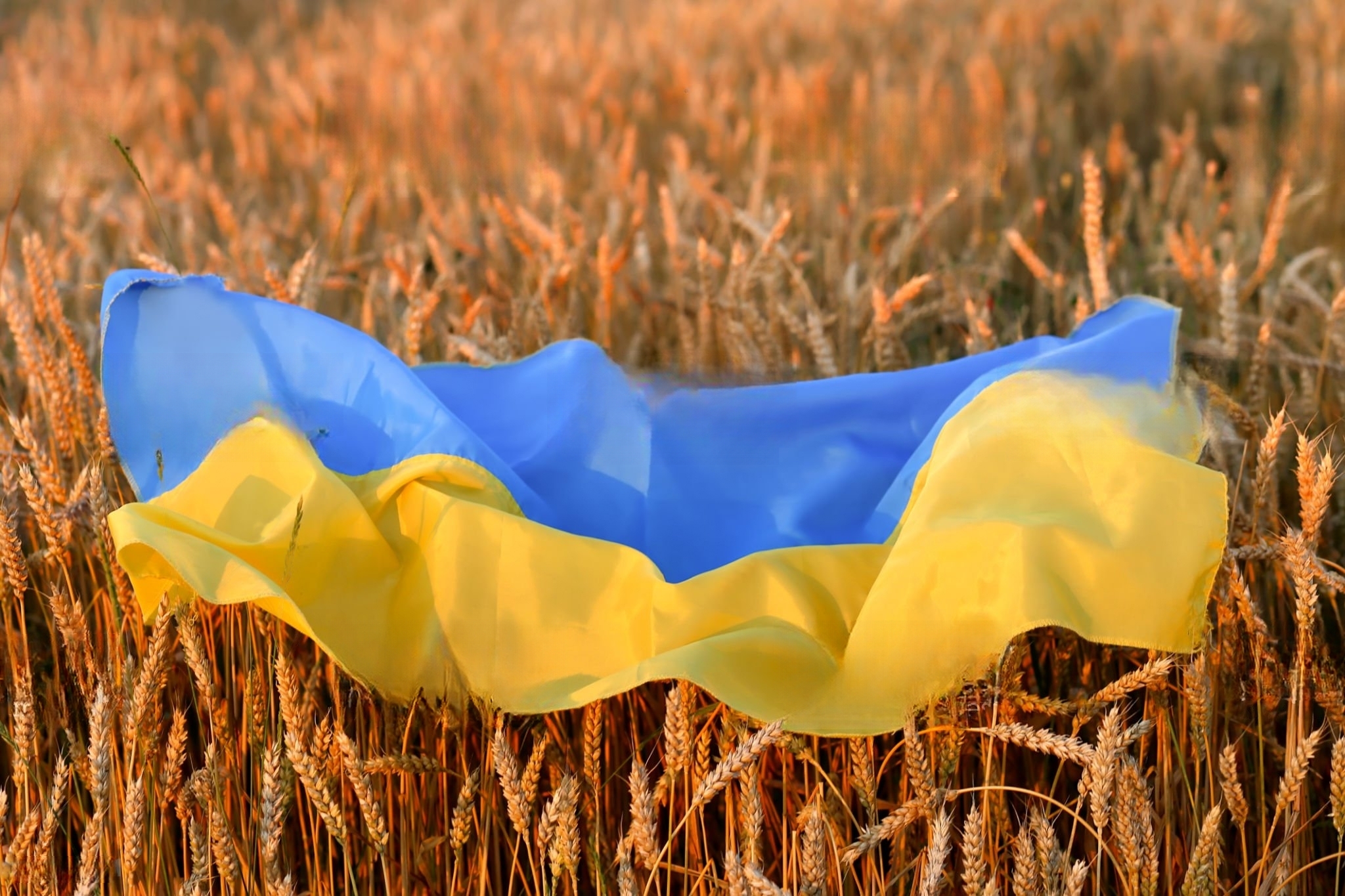 Президент НААН Ярослав Гадзало вітає з Днем Незалежності України