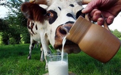 2018 ���� � ����������� ������������ ��������� ���� ��������� ������������ � �������� ������� ��������