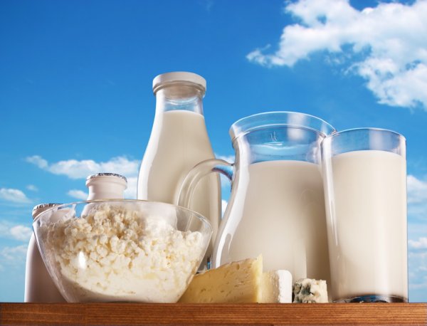 Запровадження зниженої ставки ПДВ на молочну сировину може посилити тренд щодо збільшення частки імпорту молокопродукції – Інститут аграрної економіки